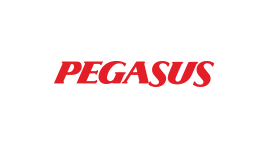 Pegasus