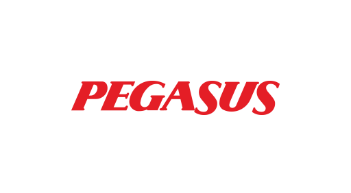 Pegasus