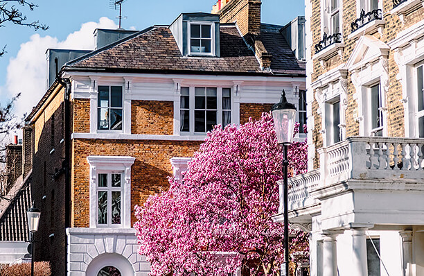 Precise Mortgages Umbraco Case Study